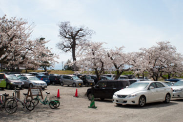鶴ヶ城の駐車場を解説┃定番から穴場や臨時駐車場まで