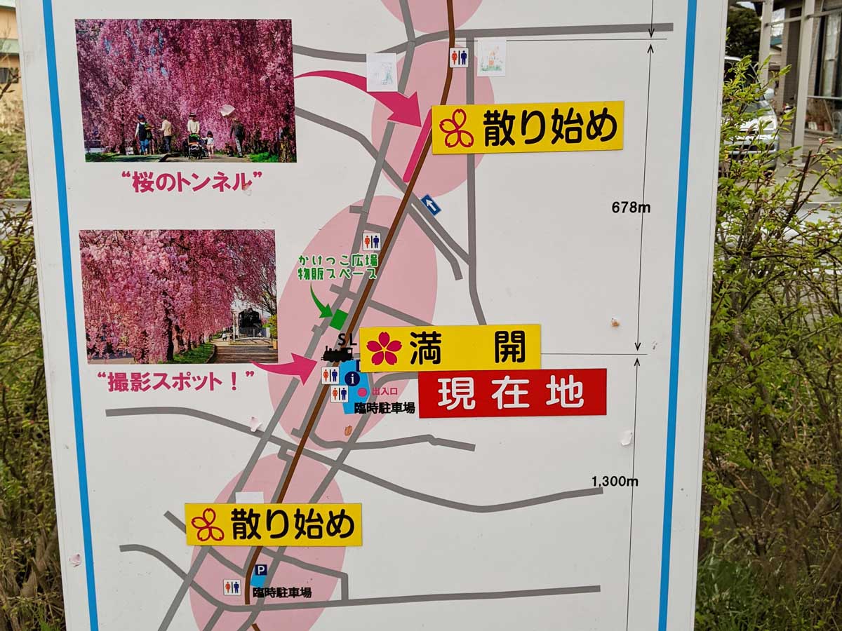 日中線しだれ桜並木の臨時駐車場マップ