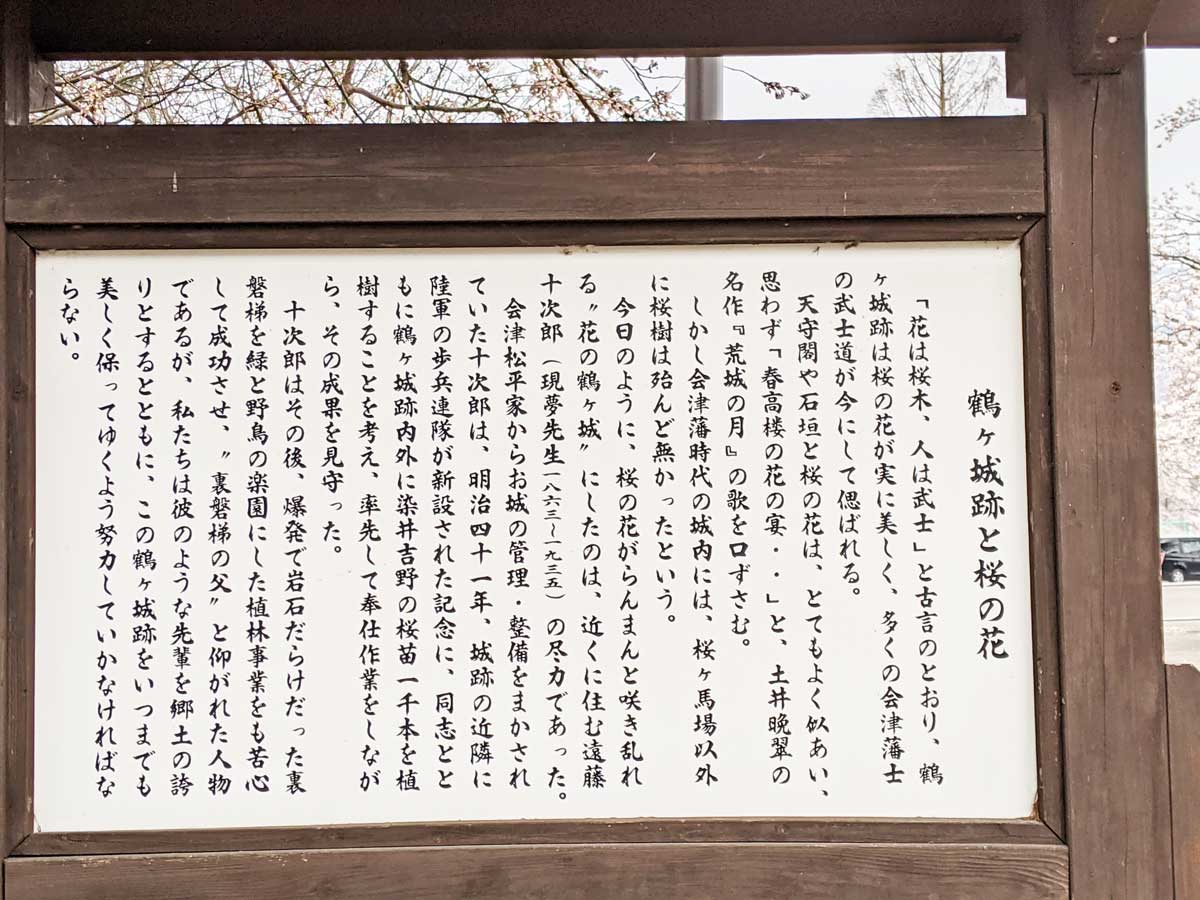 福島県立博物館にある遠藤現夢と鶴ヶ城の桜の歴史