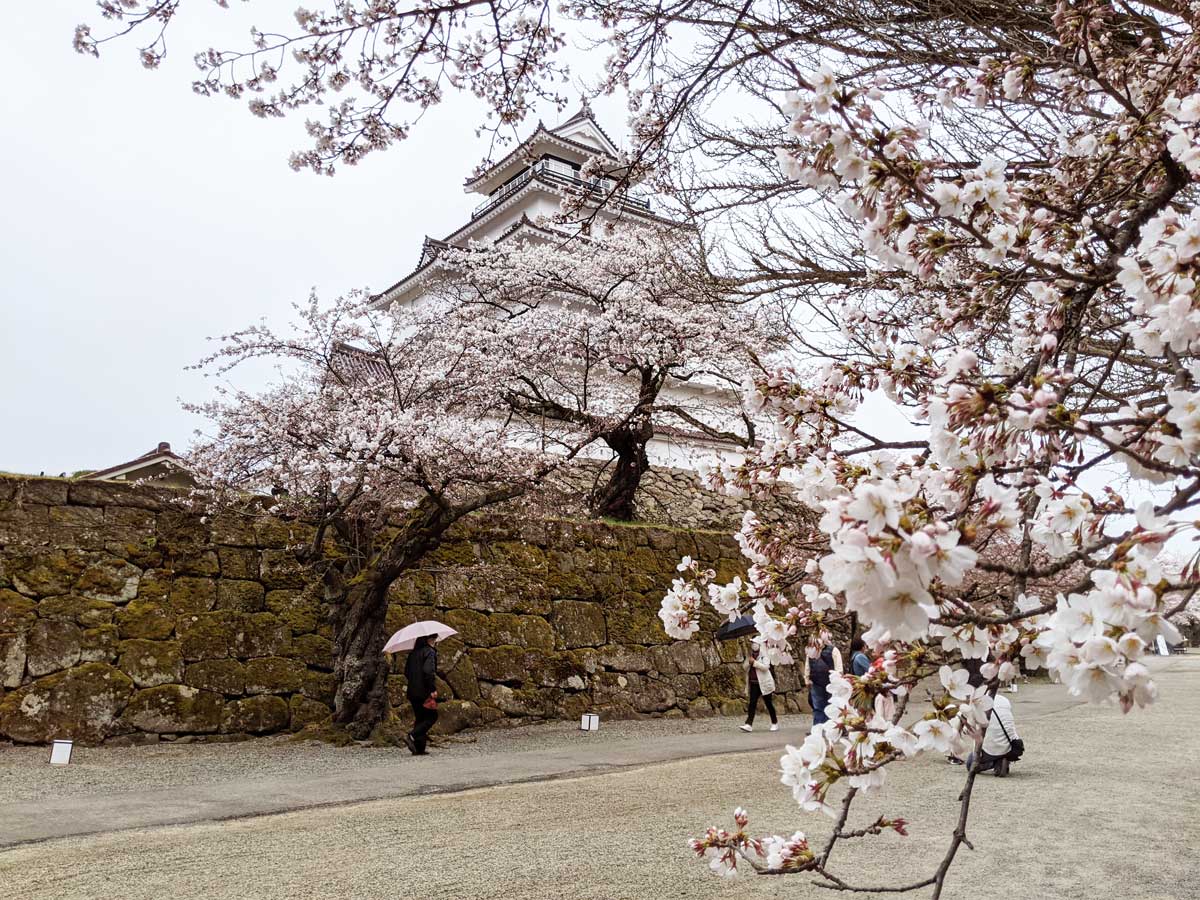 2021年4月4日の鶴ヶ城の桜