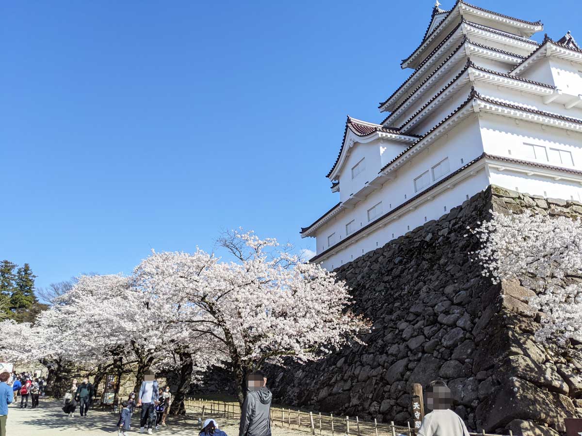 2021年4月11日の鶴ヶ城の桜