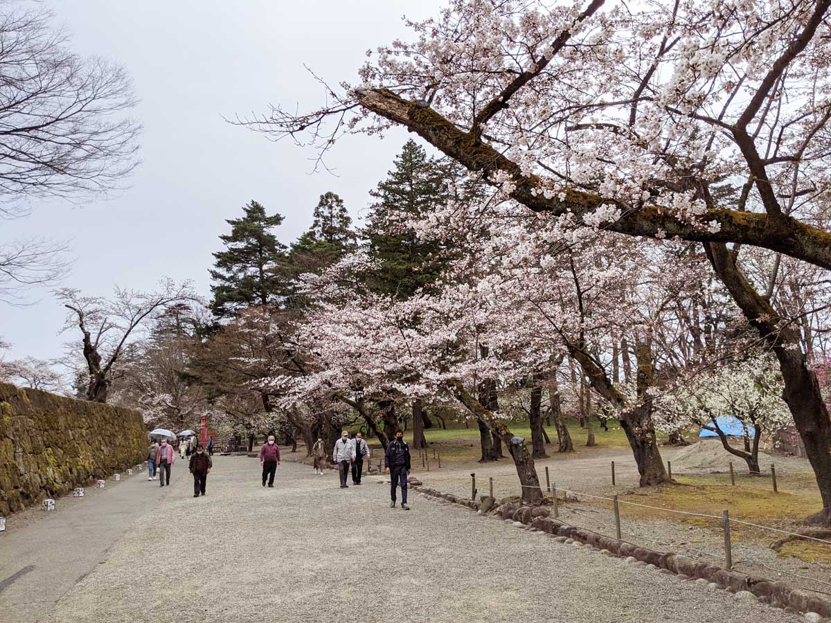 2021年4月4日の鶴ヶ城の桜